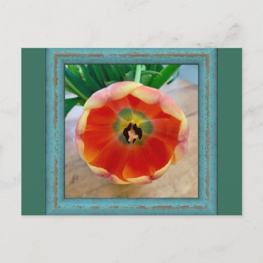 Bloem Briefkaart (Voorkant)