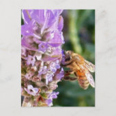 Bloem Briefkaart (Voorkant)