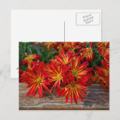 Bloem Briefkaart (Voorkant / Achterkant)