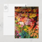 Bloem Briefkaart (Voorkant / Achterkant)