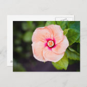 Bloem Briefkaart (Voorkant / Achterkant)