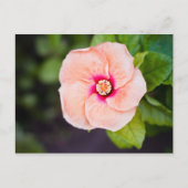 Bloem Briefkaart (Voorkant)