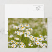 Bloem Briefkaart (Voorkant / Achterkant)