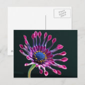bloem briefkaart (Voorkant / Achterkant)