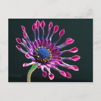 bloem briefkaart