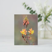 Bloem Briefkaart (Staand voorkant)