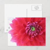 bloem briefkaart (Voorkant / Achterkant)