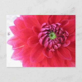 bloem briefkaart