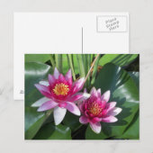 Bloem Briefkaart (Voorkant / Achterkant)