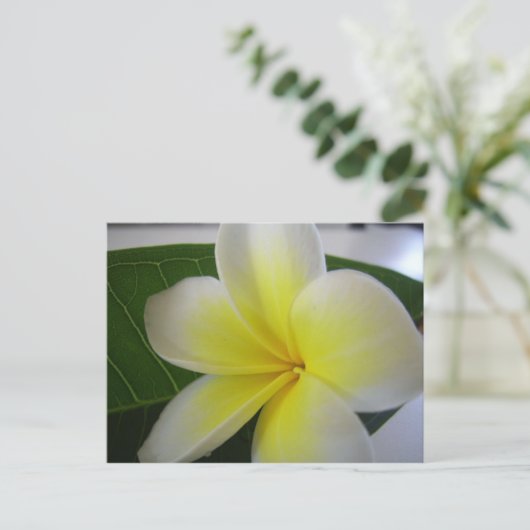 Bloem briefkaart (Staand voorkant)