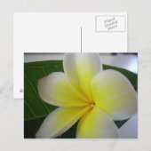 Bloem briefkaart (Voorkant / Achterkant)