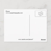 Bloem Briefkaart (Achterkant)