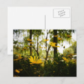 Bloem Briefkaart_01 Briefkaart (Voorkant / Achterkant)