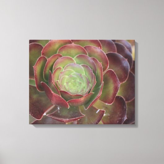 Bloem Canvas Afdruk (Voorkant)