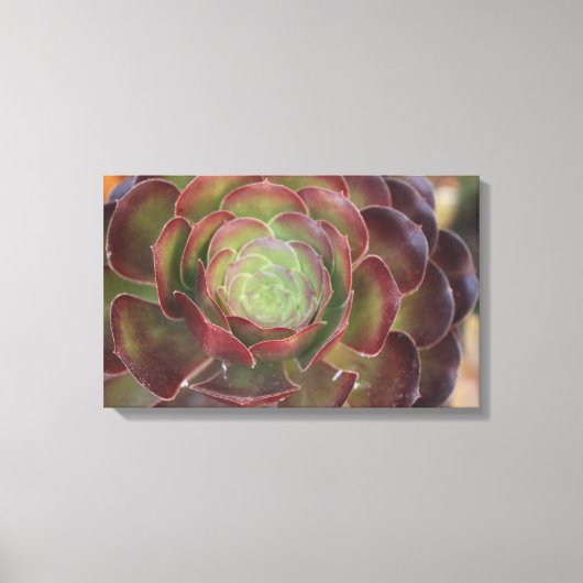 Bloem Canvas Afdruk (Voorkant)