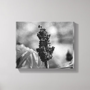 bloem canvas afdruk