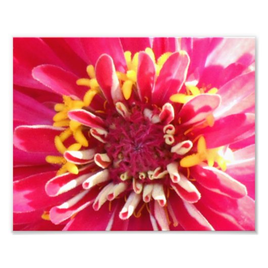 Bloem centreren foto afdruk (Voorkant)