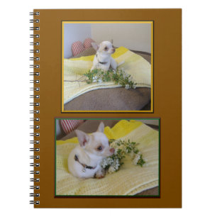 Bloem Chihuahua Spiraal Notebook Notitieboek