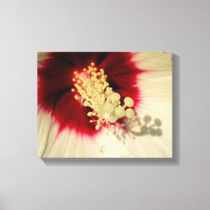 Bloem Close-up Foto Single Art Poster Canvas Afdruk