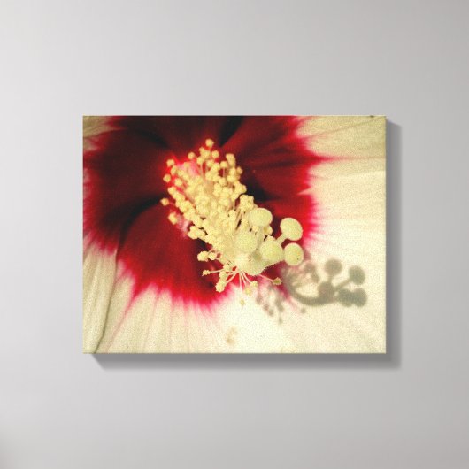Bloem Close-up Foto Single Art Poster Canvas Afdruk (Voorkant)