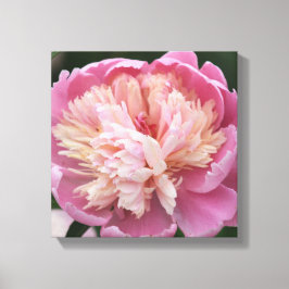 Bloem Close-up - In Bloei - Roze Canvas Afdruk