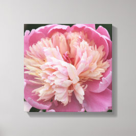 Bloem Close-up - In Bloei - Roze Canvas Afdruk