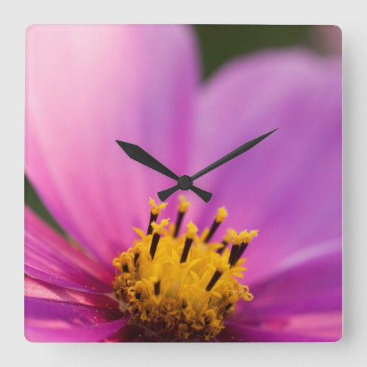 Bloem Close Up Vierkante Klok (Voorkant)