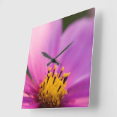 Bloem Close Up Vierkante Klok (Hoek)