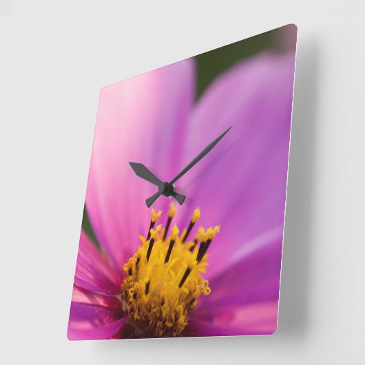 Bloem Close Up Vierkante Klok (Hoek)