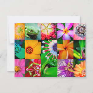 Bloem Collage Tuin Bloemen Alle gelegenheid Blank Briefkaart