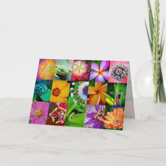 Bloem Collage Tuin Bloemen Alle gelegenheid Blank Feestdagen Kaart (Voorkant)