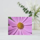 Bloem Collectie nr. 4 Briefkaart (Staand voorkant)