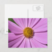 Bloem Collectie nr. 4 Briefkaart (Voorkant / Achterkant)