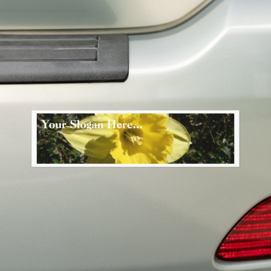 Bloem Daffodil Bumpersticker (Op auto)