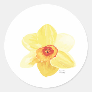 bloem Daffodil Żonkila Ronde Sticker
