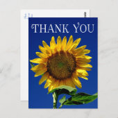 Bloem Dank u Geel Zonnebloem Bloemen Briefkaart (Voorkant / Achterkant)