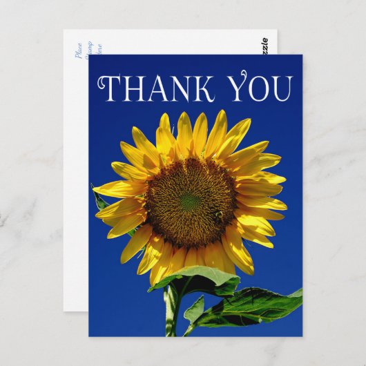 Bloem Dank u Geel Zonnebloem Bloemen Briefkaart (Voorkant / Achterkant)