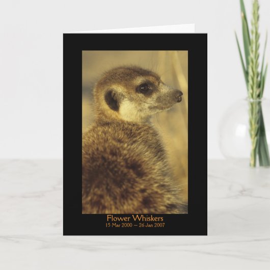 Bloem - de Kaart van Legenden (Voorkant)