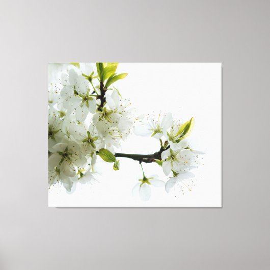 Bloem Decor 89 Canvas Afdruk (Voorkant)