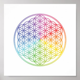 Bloem des Levens - Heilige Geometrie Regenboogpatr Poster