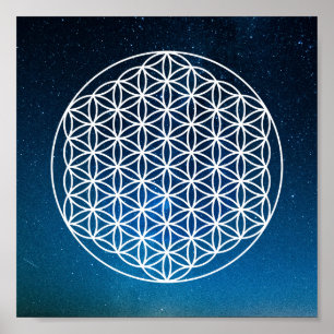 Bloem des Levens -heilige geometrische patroon - Poster