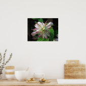 Bloem drie poster (Keuken)