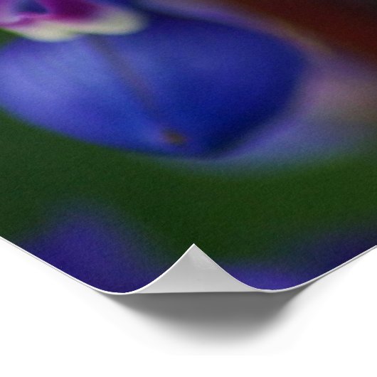 Bloem en bijen poster (Hoek)