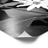 Bloem en bloem foto afdruk (Hoek)