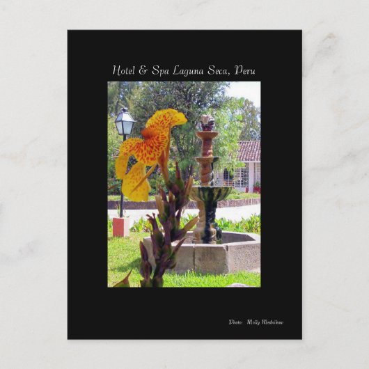 Bloem en fontein, Hotel & Spa Laguna Seca, Peru Briefkaart (Voorkant)