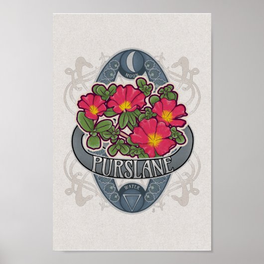 Bloem- en magische Poster - purslane (Voorkant)
