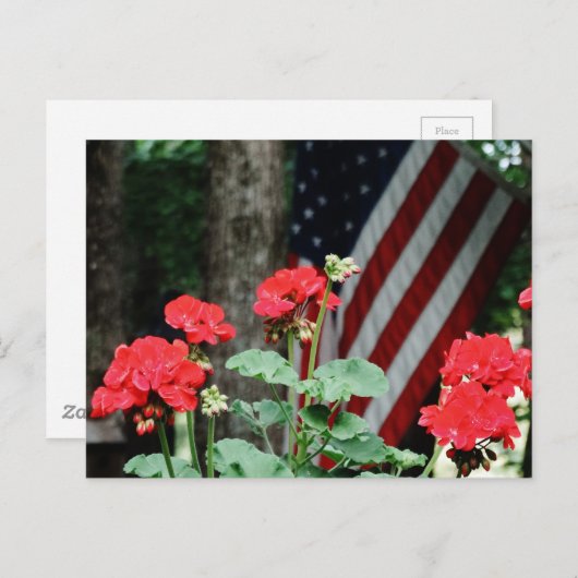 Bloem en vlag Rood wit en blauw Briefkaart (Voorkant / Achterkant)