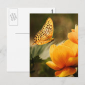 bloem en vlindervrede briefkaart (Voorkant / Achterkant)