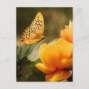 bloem en vlindervrede briefkaart
