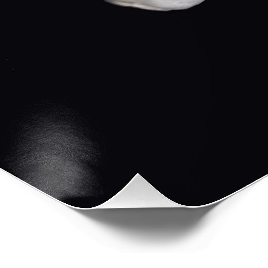 Bloem feeën 1 perfect poster (Hoek)